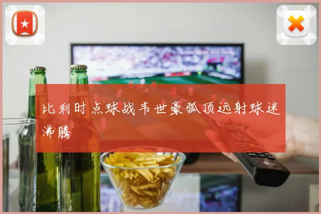 比利时点球战韦世豪弧顶远射球迷沸腾