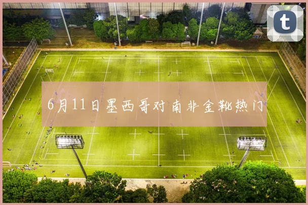 6月11日墨西哥对南非金靴热门