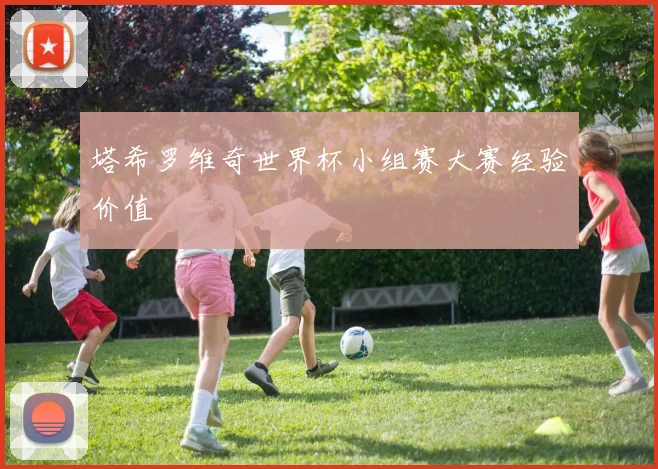塔希罗维奇世界杯小组赛大赛经验价值
