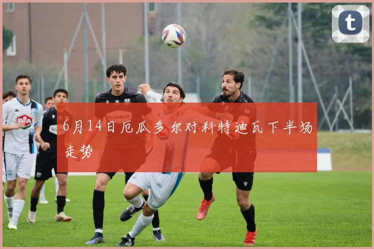 6月14日厄瓜多尔对科特迪瓦下半场走势